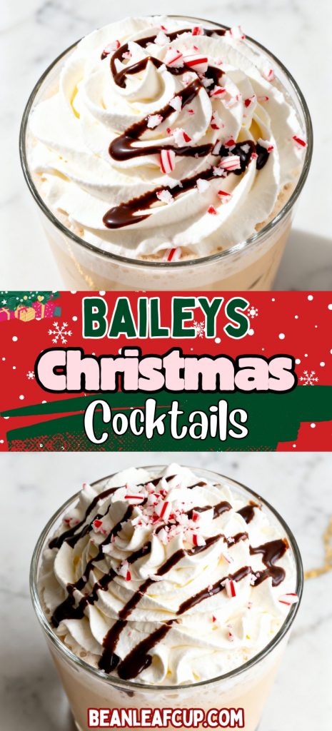 Baileys Christmas Cocktails 4