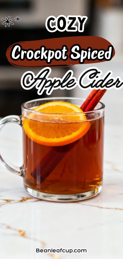 Cozy Crockpot Spiced Apple Cider