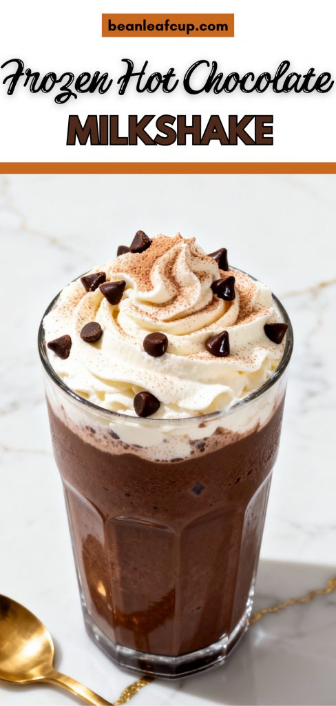 Frozen Hot Chocolate Milkshake
