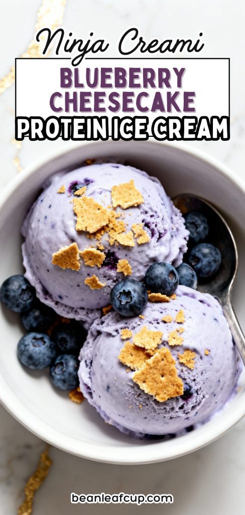 Ninja Creami Blueberry Cheesecake Protein Ice Cream 5