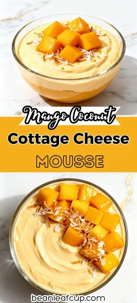 Mango Coconut Cottage Cheese Mousse