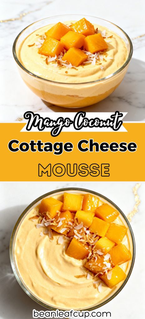 Mango Coconut Cottage Cheese Mousse