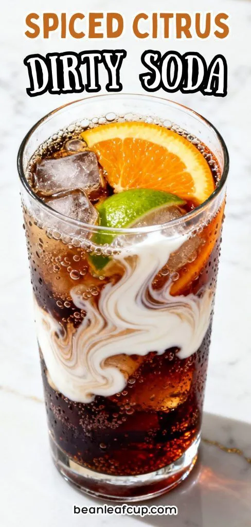 Spiced Citrus Dirty Soda 3