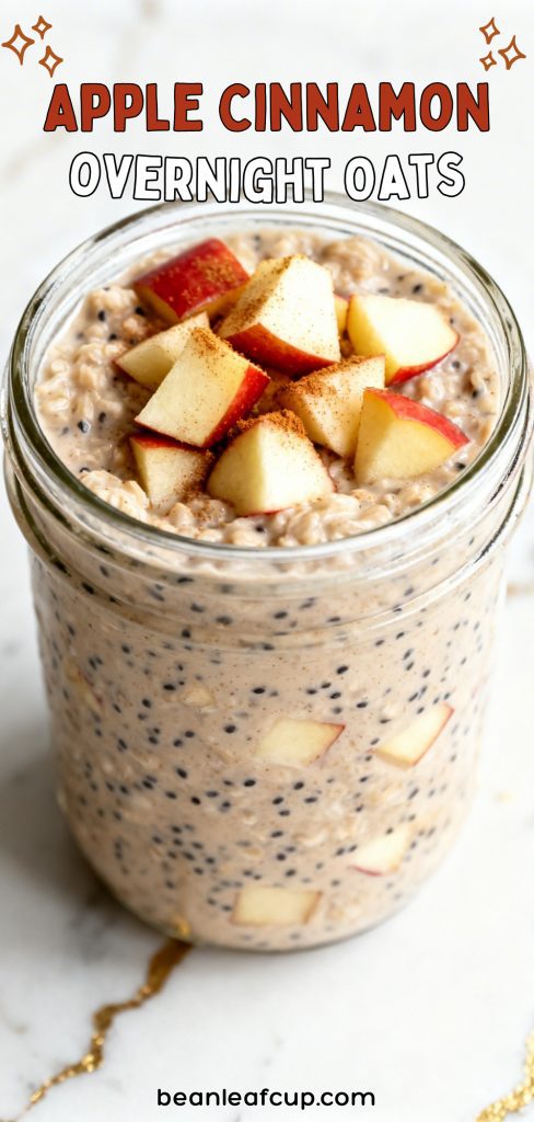 Apple Cinnamon Overnight Oats