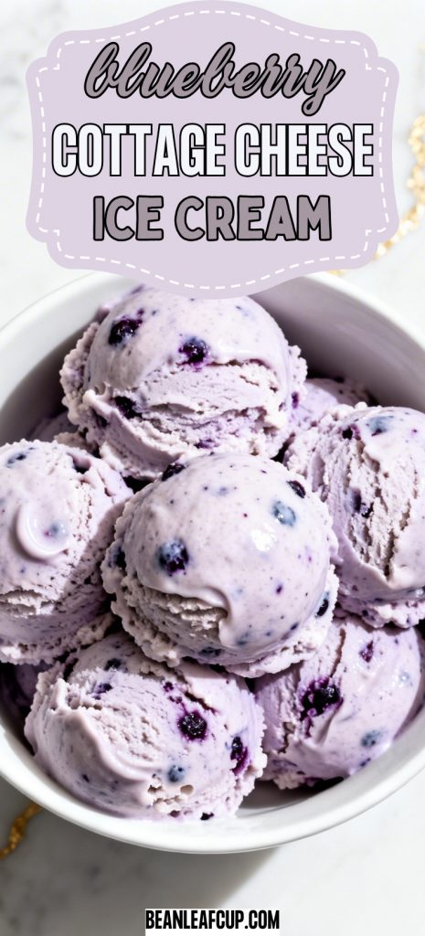 Blueberry Cottage Cheese Ice Cream