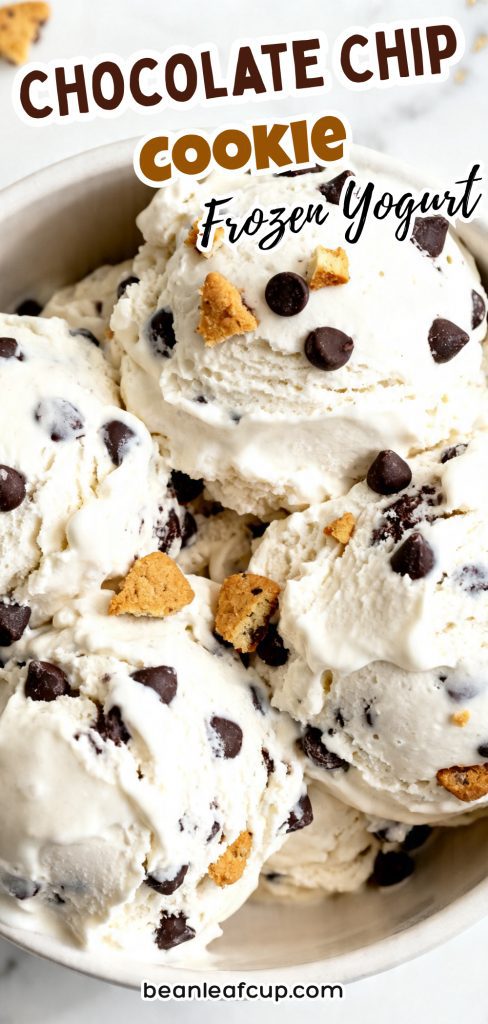 Chocolate Chip Cookie Frozen Yogurt