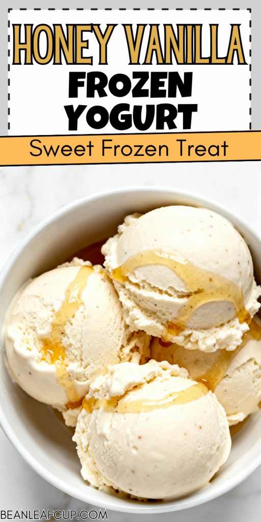 Honey Vanilla Frozen Yogurt